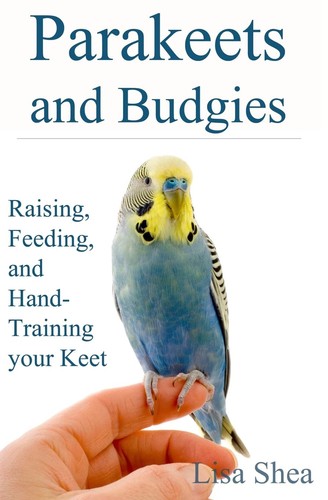 Parakeets and budgies - budgies,