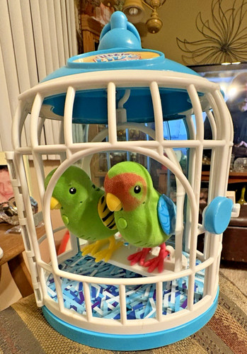 Lot little live pet - little,