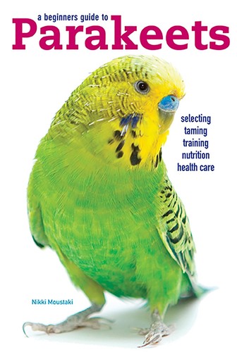 Beginners guide parakeets - a, to